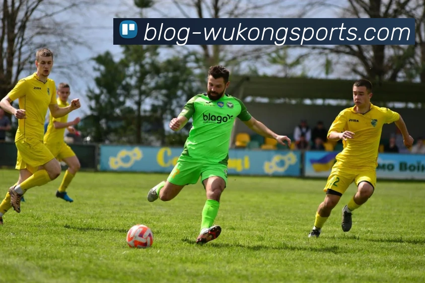 多媒体互动体验